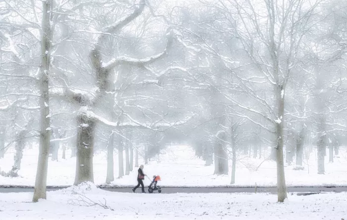 Davidson, Peter: Passeggiata invernale
