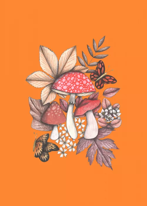 Battaini, Cecilia: Mushrooms Magic#1