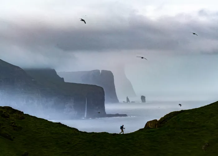 Wang, Ti: Alone with the cliffs