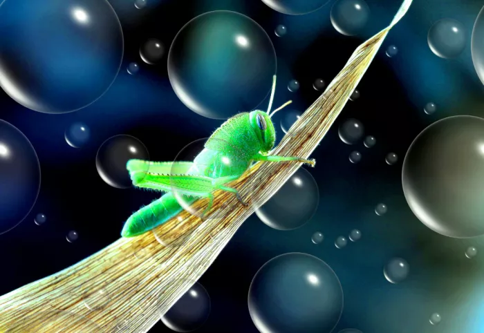 Dufour, Thierry: Il piccolo extraterrestre verde è tornato...