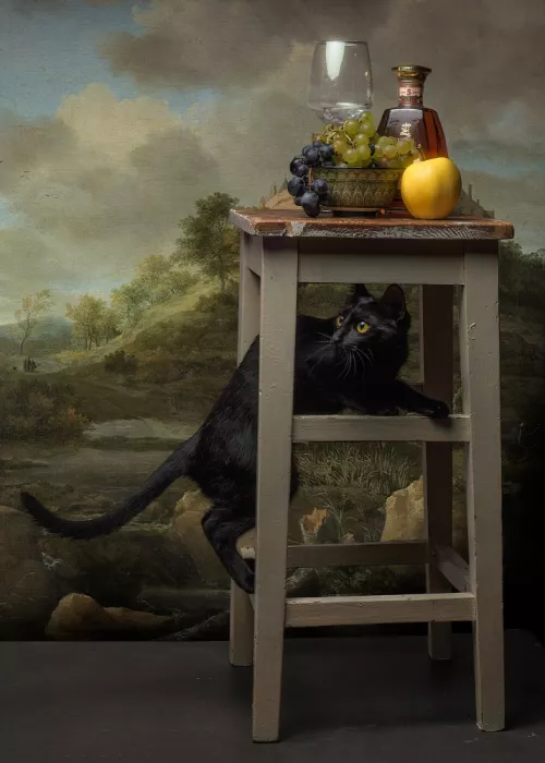 Chis, Adrian Paul: Ohne Titel