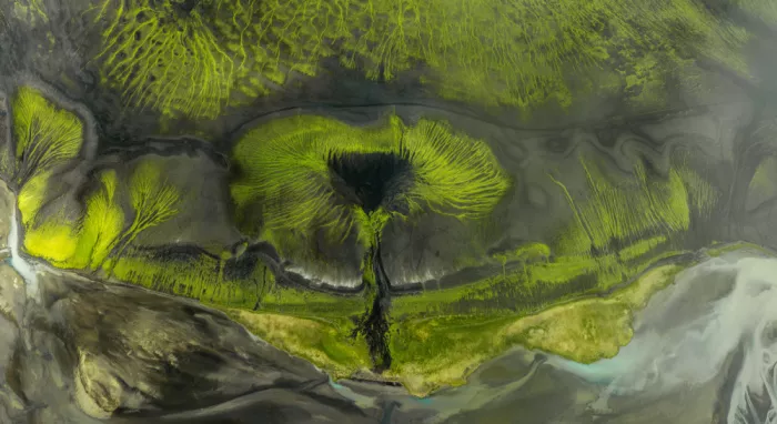 Huang, Stan: El arte de la naturaleza