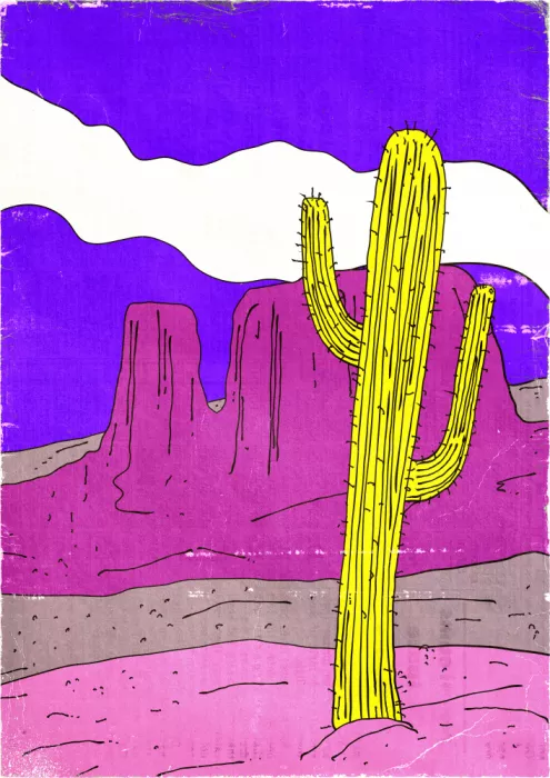 Nicholas: Desierto Vintage
