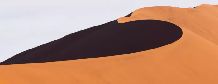 Kong, Chris: The Silent Curve