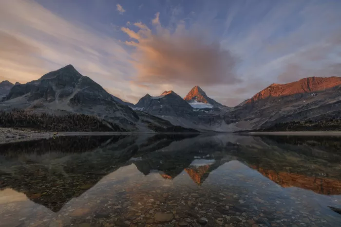 AN, ANNA: Morning Majesty