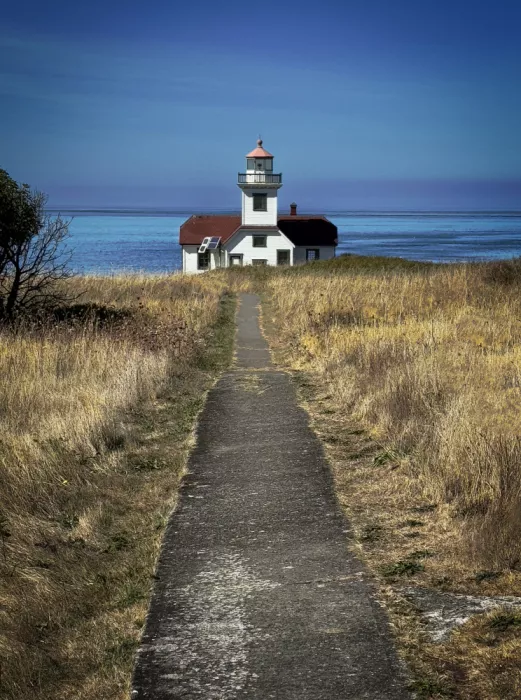 Johnson, Scott Ronald: To the Lighthouse