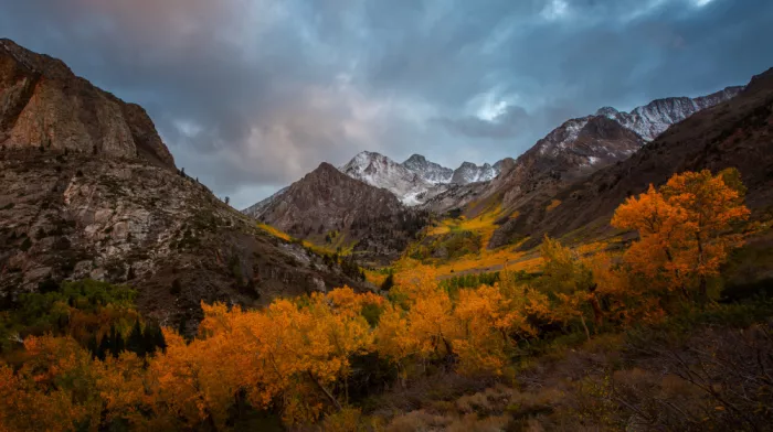 Xie, April: Golden Valley Peaks