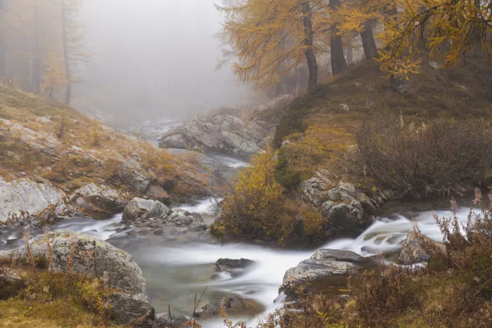 Tudose, Adrian: Simplon pass