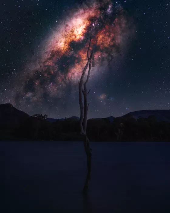 TaranSohal: Des racines aux étoiles