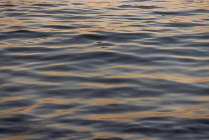 Böhmer, Mareike: Golden Water