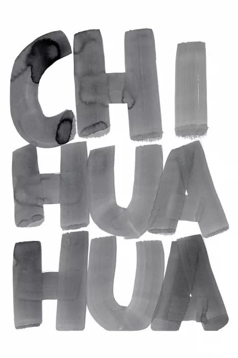 cartissi: Tipografía chihuahua monocromática