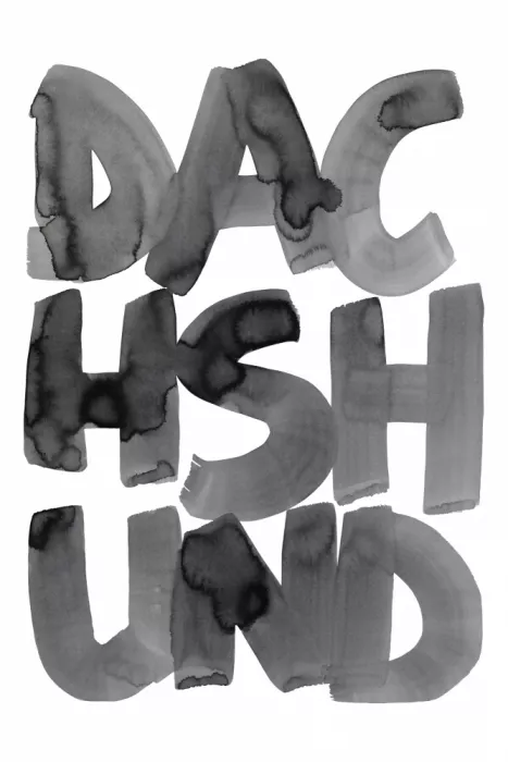cartissi: Tipografía Salchicha Monocroma