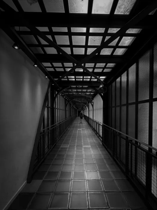 Mayalazzawi: In Orsay