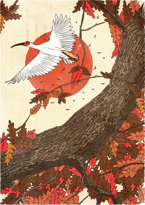 Nicholas: Il bellissimo paesaggio autunnale