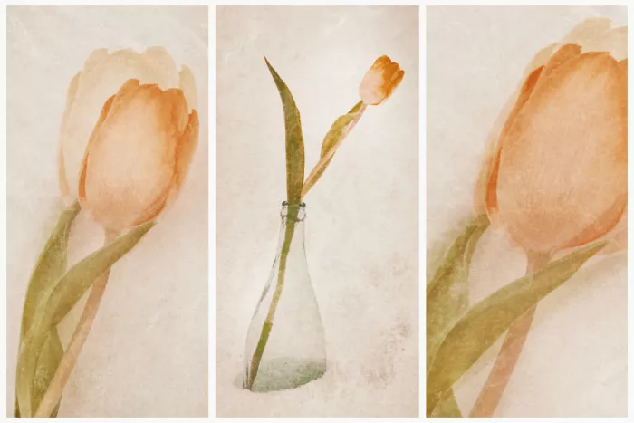 Davidsson, Gustav: Tulipánový triptych II