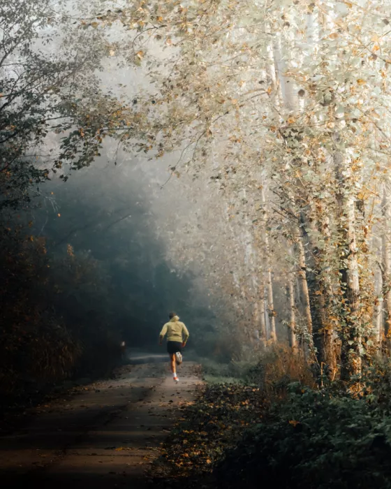 Wasinger, Renate: morning round