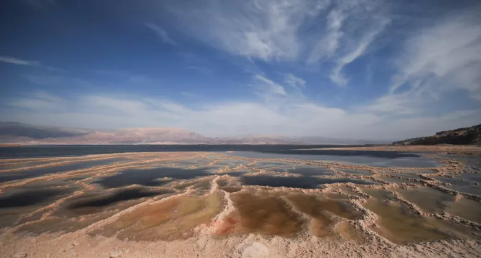 Babitz, Dani: Dead Sea Planet