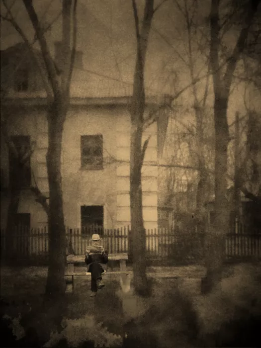 Novichikhin, Evgenii: Sans titre