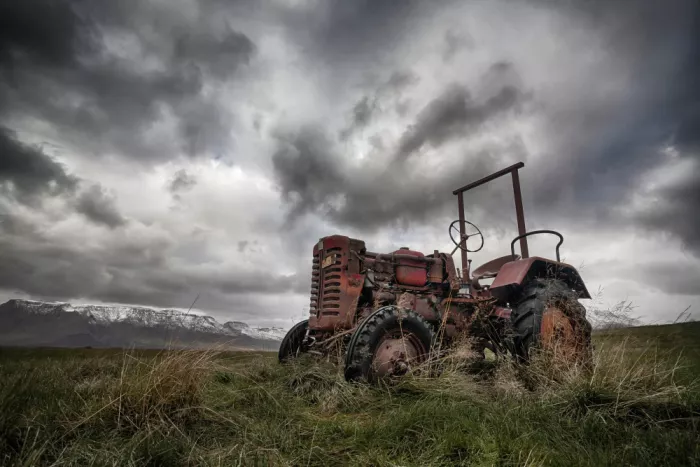 Ingibergsson, H. Þorsteinn: Old Red International