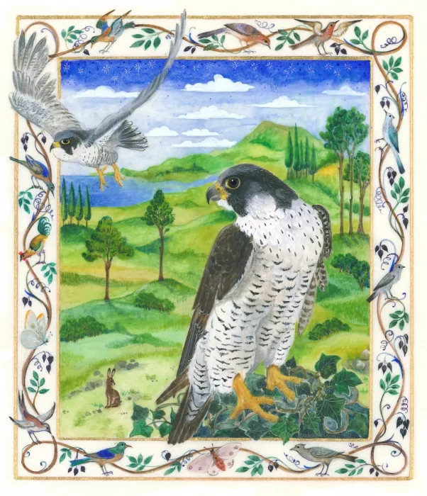 Brent, Isabelle: Halcón peregrino