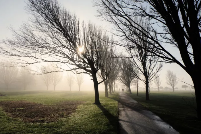 Allen, Elizabeth: Durch den Nebel leuchtend II