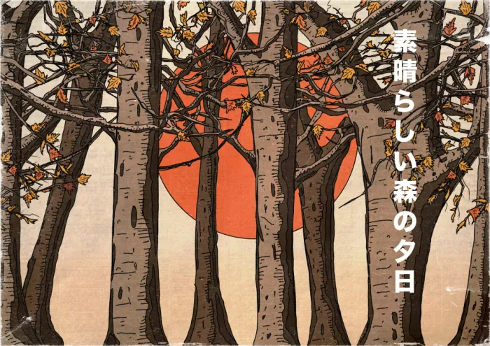 Nicholas: Un meraviglioso tramonto nel bosco