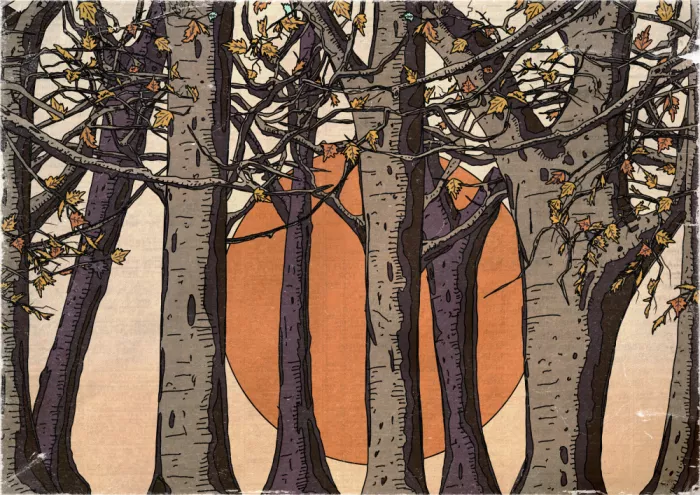 Nicholas: Un meraviglioso tramonto nel bosco