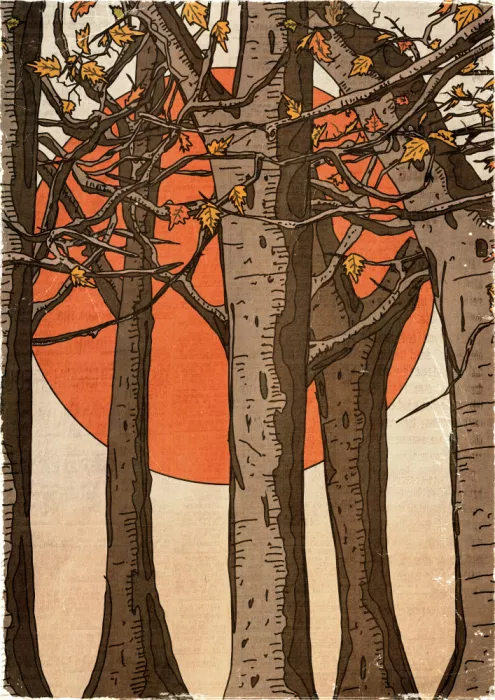 Nicholas: Un meraviglioso tramonto nel bosco