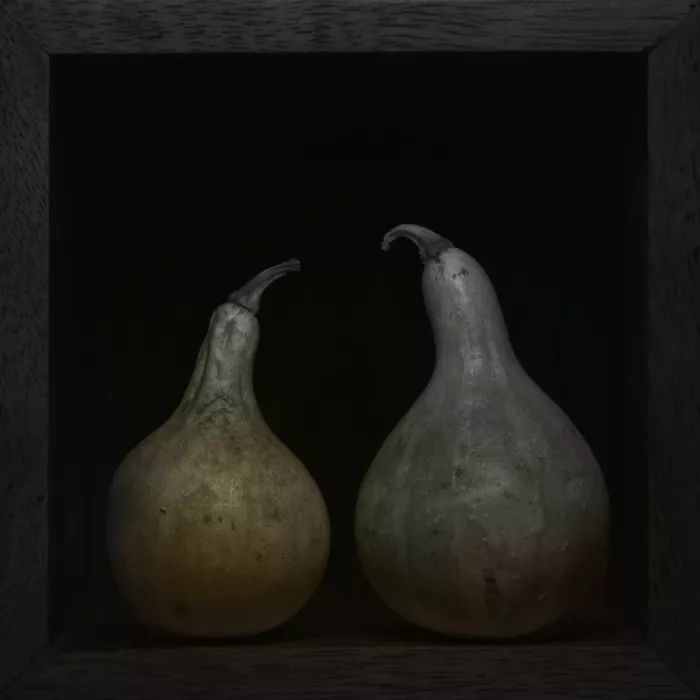 Grønkjær, Lotte: Calabazas antiguas