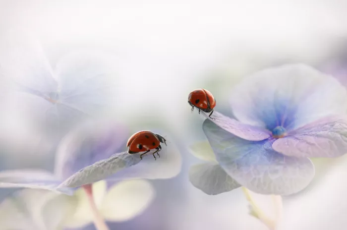Deelen, van Ellen: Keep finding beauty in the small things....