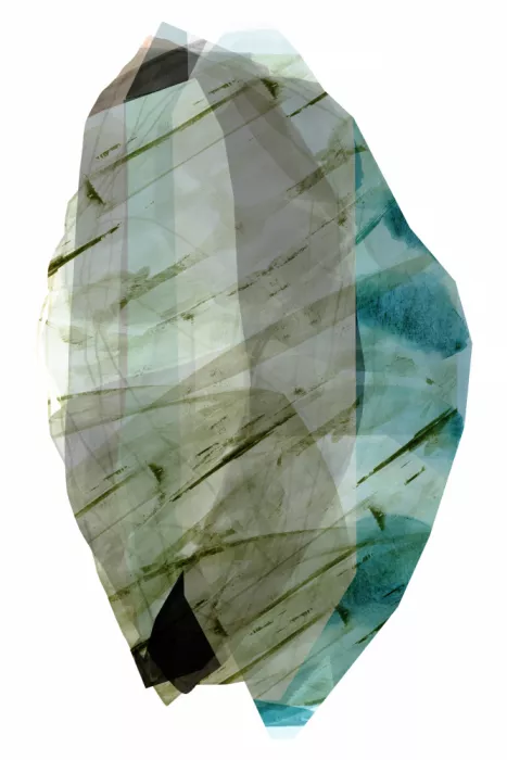cartissi: Estudio de Salvia y Lino 2