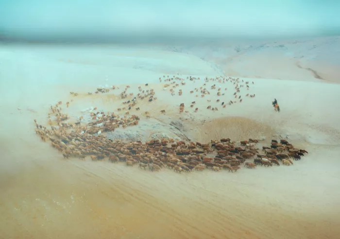 Hongchao, and Gu: Flujo de vida a través de las dunas