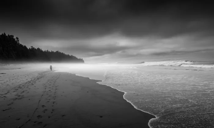 Li, Bing: Mlhavý den na West Coast Trail