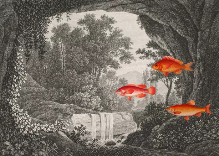 den, van Marja: Tales of Fish In Forests