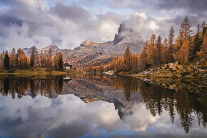 Selagea, Andreea: Mirror