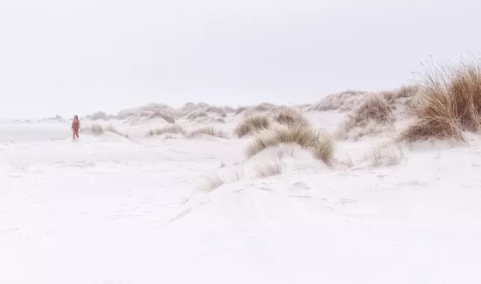 Eisele, Stefan: Borkum