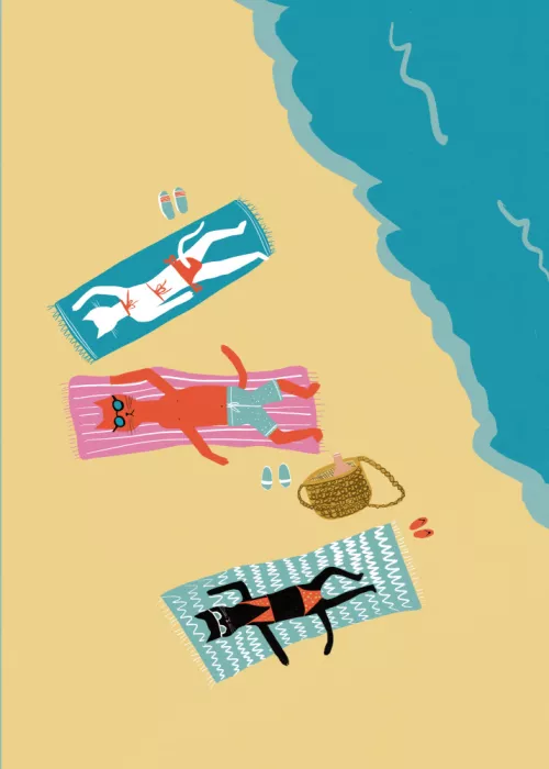 Bursic, Sharyn: Gatti in spiaggia