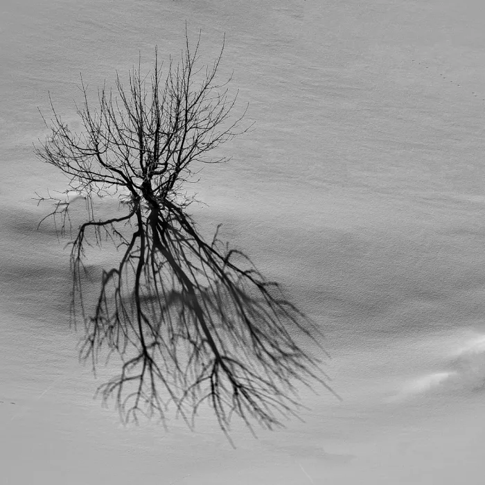 Borsan, Valentin: Autoportrait d