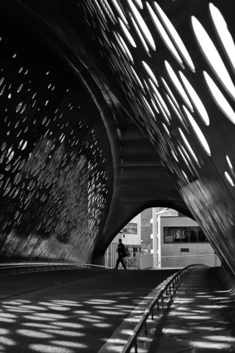 Rodgers, Ursula: Park Brug