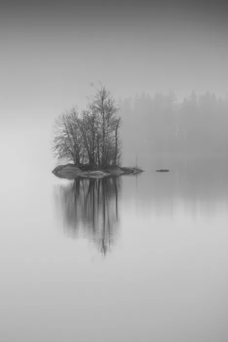 Pettersson, Benny: An island in fog