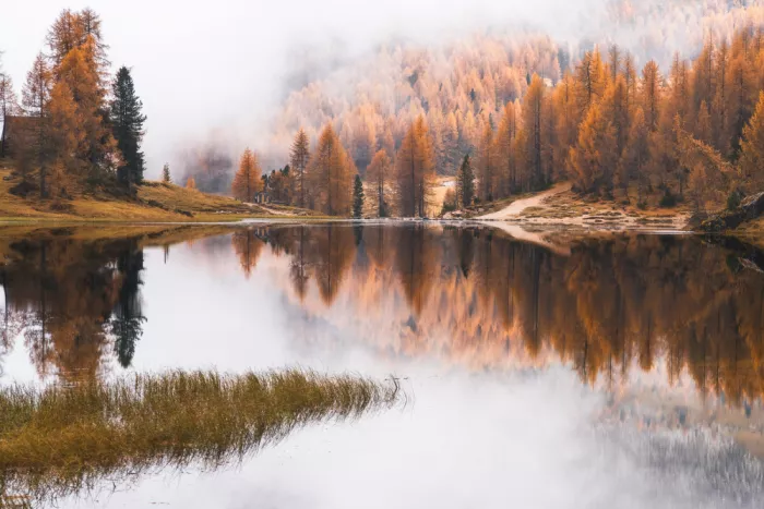 Selagea, Andreea: Autumn