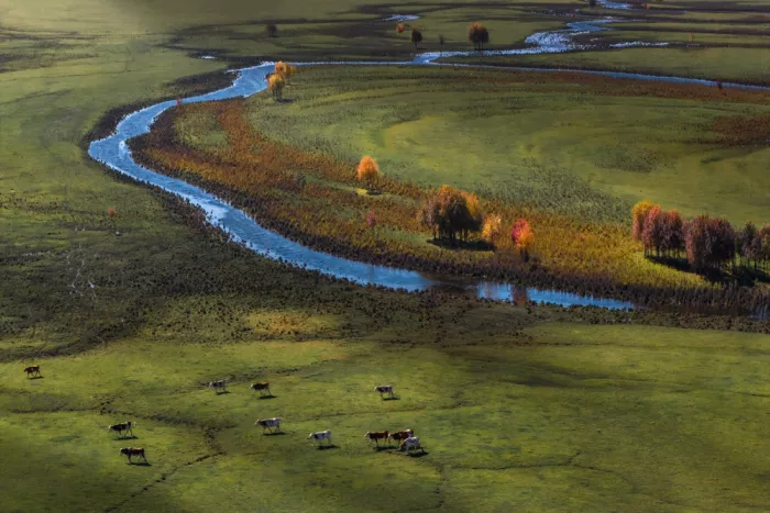 UU: Hulunbuir-Steppe