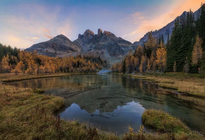 AN, ANNA: The Heart of Assinibione