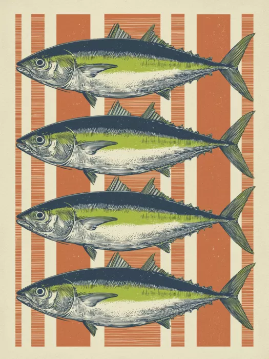 Magnusson, Andreas: Vier Fische