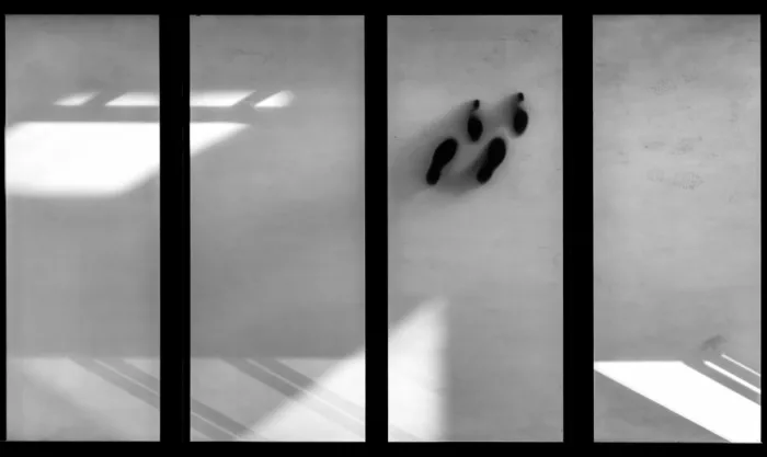 PacodlaCorte: Dos zapatos bailan