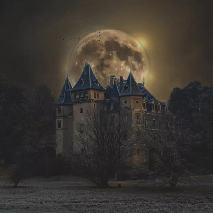 Całkosińska-Kajzer, Ewa: Sans titre