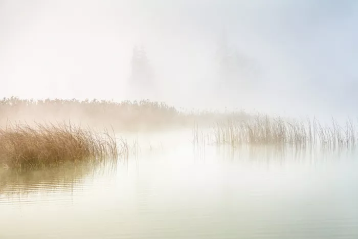 Eisenmann, Ulrike: Malé vlny