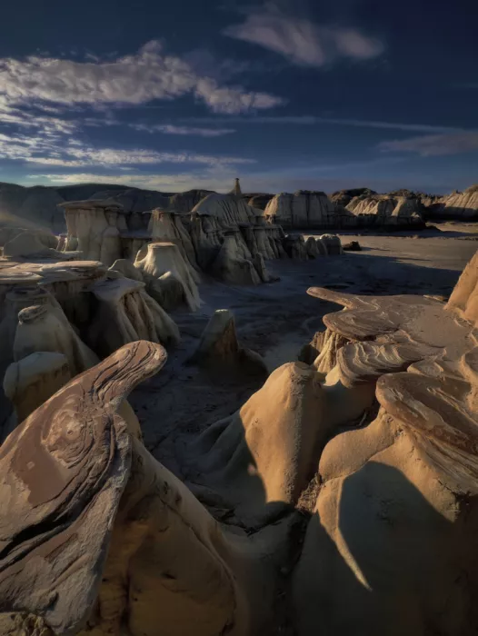 Fischer, Jie: Bisti Wilderness
