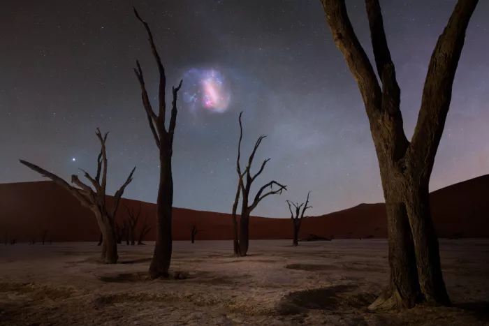 Chander, Vikas: LMC in DeadVlei
