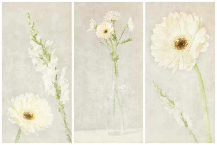 Davidsson, Gustav: Gerberový Triptych